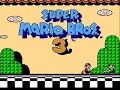 the 3rd super mario bros