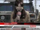 The Iron Reporter