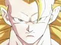 DBZ  Hildegarn-Night of Fire
