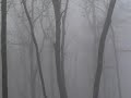 i try to post a subscriber appreciation bonus video at least every month. with back-to-back film festivals in augusta,georgia & charlotte, n.c. with a birthday snuck in between, i did not have time. well here you go folks! i wish you could have been here when i filmed this weather phenomena so you could have experienced it first-hand. i know this little vid can't do it justice, but it's something i wanted to share with you. hope you enjoy. please comment, rate & favorite if you can. thanks for all your support of my channel!