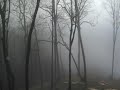 i try to post a subscriber appreciation bonus video at least every month. with back-to-back film festivals in augusta,georgia & charlotte, n.c. with a birthday snuck in between, i did not have time. well here you go folks! i wish you could have been here when i filmed this weather phenomena so you could have experienced it first-hand. i know this little vid can't do it justice, but it's something i wanted to share with you. hope you enjoy. please comment, rate & favorite if you can. thanks for all your support of my channel!