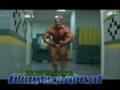 Jay-Cutler