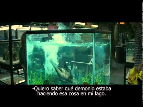 Imagen de previsualización de YouTube