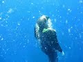 Apnea Girls in Sea Part3