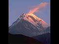 Silva Hakobyan - Gisher Silva Hakobyan - Gisher