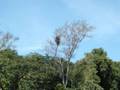 videos de VIDADURA2006