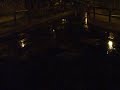 Békák brekegése Miskolctapolcán / Frogs croaking Békák brekegése Miskolctapolcán / Frogs croaking
