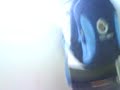 bubu BAciando su mochila de chabelo