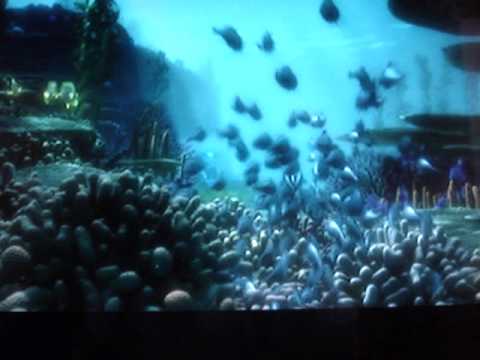 Marlin[Disney]