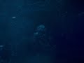 Aqualight (Tektonik)