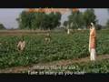 Haath Choote - Pinjar (2003)