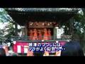フラダンスは根津のつつじ祭りで