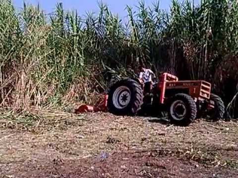 καταστροφεας - ενα μικρο δειγμα τι κανει το τερας.