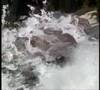 CASCATE TOCE