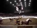 Ohio Haflinger Drill Team at 2008 Equine Affaire