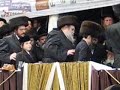 belz vizniys dance