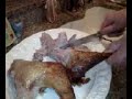 Turkey Carving with Papa John Part 1 Turkey Carving with Papa John Part 1