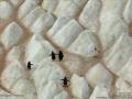 videos de Fotos de national geographic