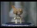 videos de FTT (S2) - 