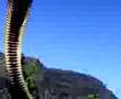 video.