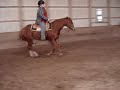Clips of me loping my seven year old AQHA western pleasure sorrel mare, Daisy Mae. I don't need advice on riding, or any of that. any mean or rude comments will be deleted. i know how to ride and what im doing wrong in this video. i put my vids up for my friends to see and to show the progress im making with my mare. if you don't like my videos don't watch them, i don't care what anyone thinks im just letting everyone know ahead of time beacuse you'll just be wasting a comment.:)