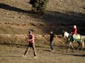 riding horse ifrane morocco maroc riding horse ifrane morocco maroc