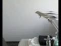 Google Insect
