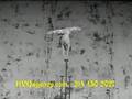 H.V. Quenzer Agency: Acrobat/Aerialist (Part 1)