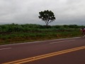 Vamo pro Caxoerão,.,,? Pte-03/12
