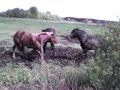 Niisama..sõitsin sealt läbi ja tli mõte et filmida.. :D