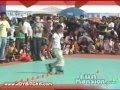 amazing roller blades