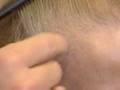 organin hair loss product