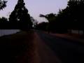 videos de Birdsong, early morning in Harare - 2