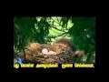 Guna Selliah View Video