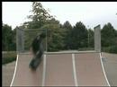 TTW tricktip 5050 in a miniramp
