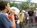 Milk Chugging Contest