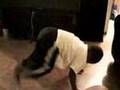 Funny, Talented Quincy Hilarioius Hollywood Part 1