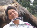 love you teacher