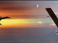 auroras odysseus concept for darpas vulture