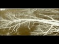 Clocks