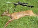 Hunting 2007 short v.