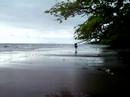 Horse on Seme New Beach