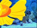 aquarios, peixes ornamentais, acessorios para aquarios 