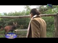 Fairmont Mount Kenya Safari Club Featured on TV's "High Life Dubai"