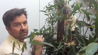 Behind the Scenes at Dreamworld