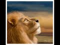 The Lion sleeps Tonight The Lion sleeps Tonight