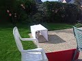 Souba qui saute
