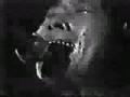 RC succession live 1976 Maboroshi