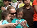 El Salvador libera mariposas por la paz de El Salvador