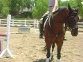 Justin and Carlee Penny Wahler Clinic